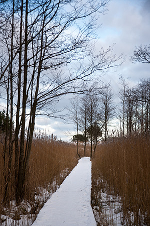 Fischland Darss-Zingst