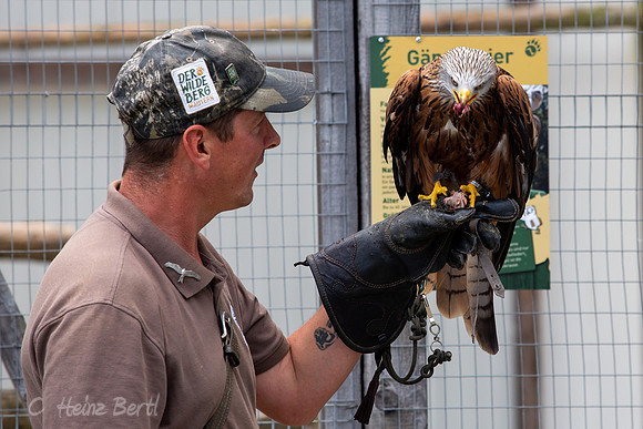 Wildpark Mautern