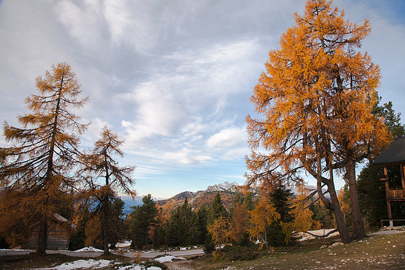Herbst am Stoder