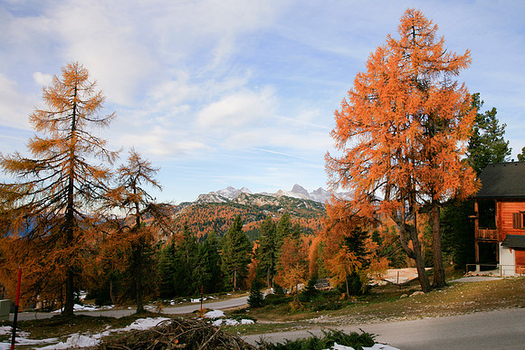 Herbst am Stoder