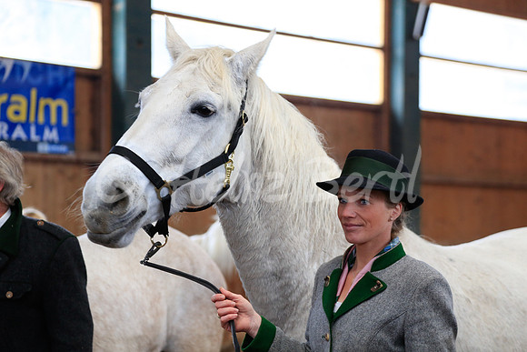 LipizzaneruebergabeZechmannhofRamsauPräsentationFrauStocker_20130309_HB