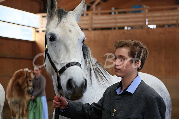 LipizzaneruebergabeZechmannhofRamsauPräsentationMathiasStocker_20130309_HB