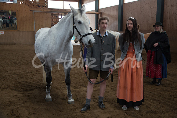 LipizzaneruebergabeZechmannhofRamsauPräsentationMathiasStockerDachsteinprinzessin20130309_HB