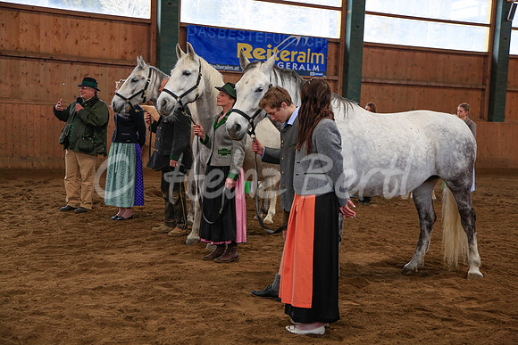 LipizzaneruebergabeZechmannhofRamsauPräsentation2_20130309_HB