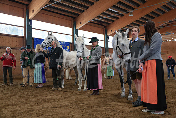LipizzaneruebergabeZechmannhofRamsauPräsentation3_20130309_HB
