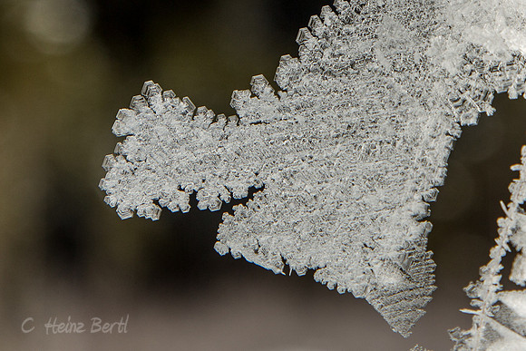 Winter-Schnee-Kristalle-20170129-0175-2