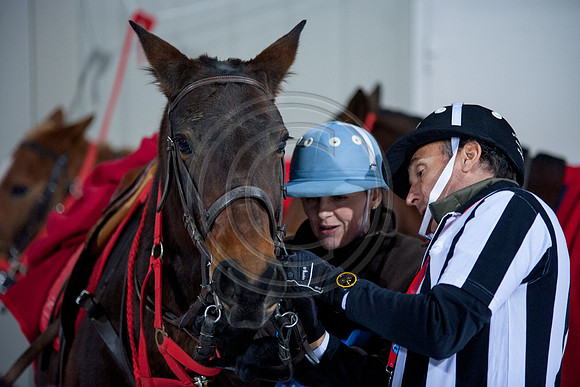 20160204-PIPA-SnowPolo-Ramsau-England-Italien-9445