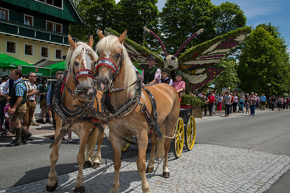 20130609-Frühlingsfest-Figur-Schmetterling-5166