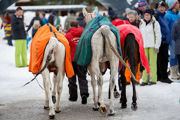 20160207-PIPA-SnowPolo-Ramsau-England-Italien-2463