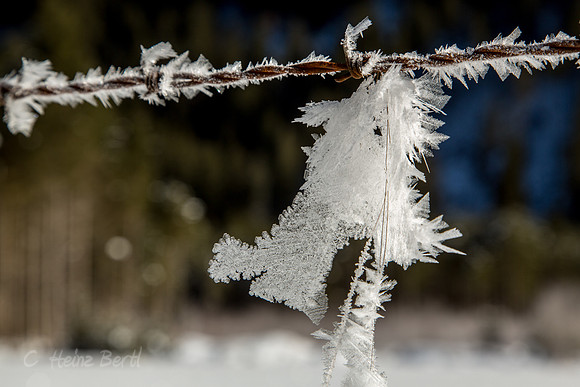 Winter-Schnee-Kristalle-20170129-0175