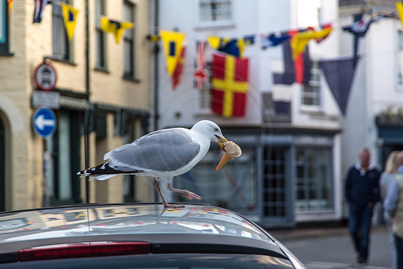 Padstow, Cornwall