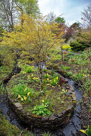 Schottland, Dunvegan Castle and Gardens, Isle of Skye