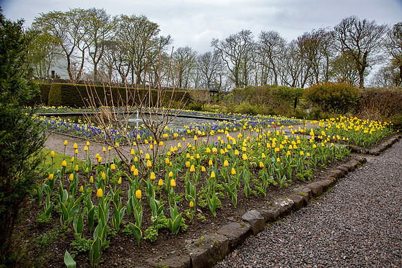 Schottland, Dunvegan Castle and Gardens, Isle of Skye