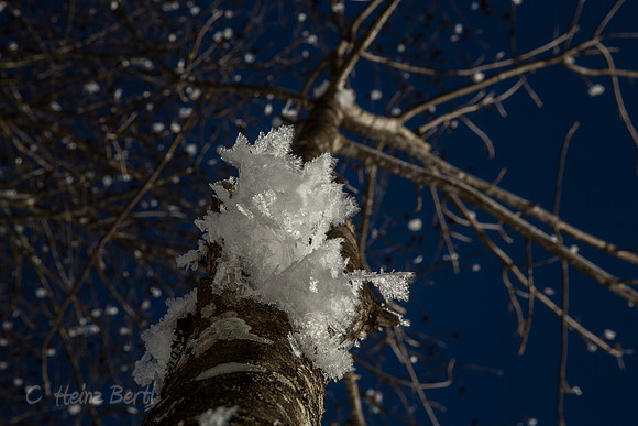 Winter-Schnee-Kristalle-20170129-0215