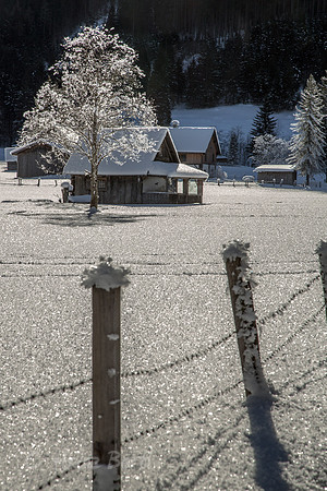Winter-Schnee-Kristalle-20170129-0177