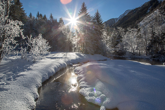 Winter-Schnee-Kristalle-20170129-0077