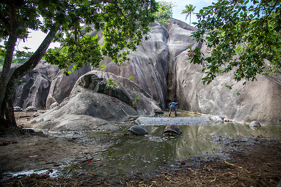 Seychellen_2015_LaDigue-1385