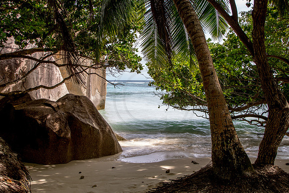 Seychellen_2015_LaDigue-1430