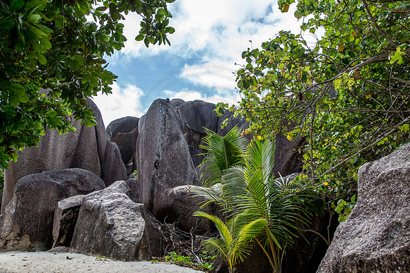 Seychellen_2015_LaDigue-1470