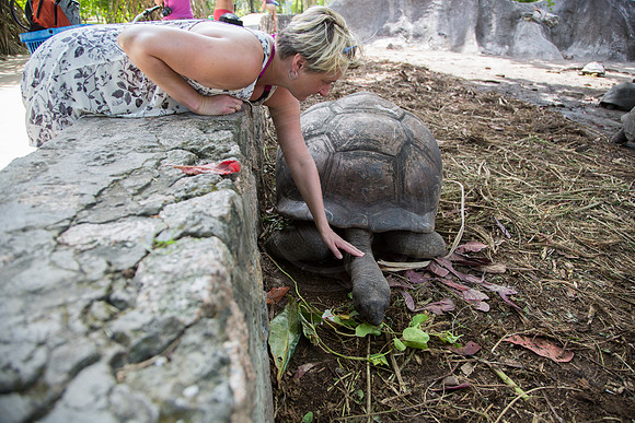 Seychellen_2015_LaDigue-1397