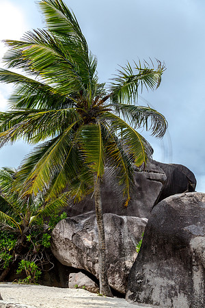 Seychellen_2015_LaDigue-1486