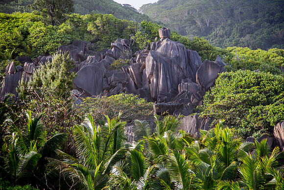 Seychellen_2015_LaDigue-1323