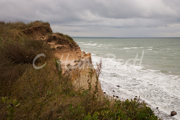 Ostsee-Darß-Hohe-Duene-5872