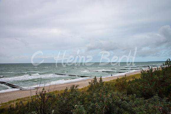 Ostsee-Darß-Hohe-Duene-5842