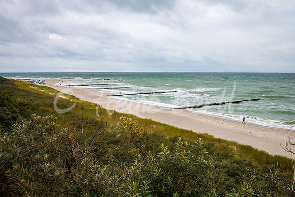 Ostsee-Darß-Hohe-Duene-5841