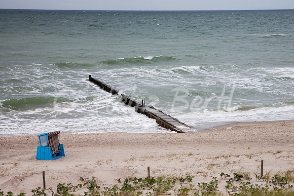 Ostsee-Darß-Hohe-Duene-5852