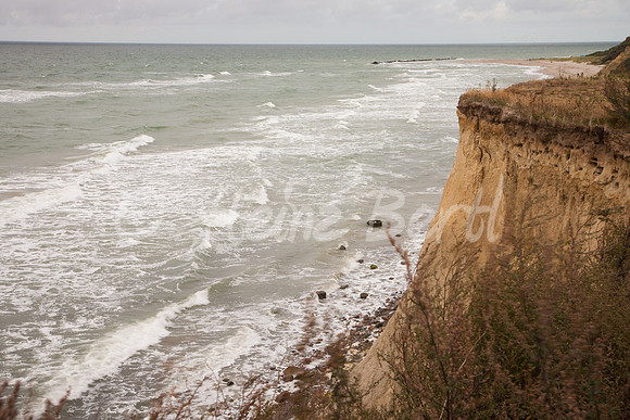 Ostsee-Darß-Hohe-Duene-5870