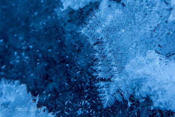 Winter-Schnee-Kristalle-20170129-0154