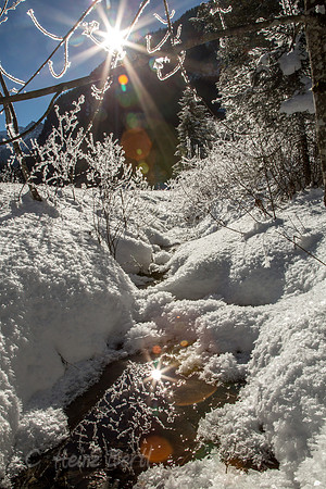 Winter-Schnee-Kristalle-20170129-0210