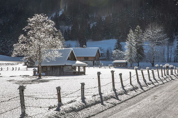 Winter-Schnee-Kristalle-20170129-0176