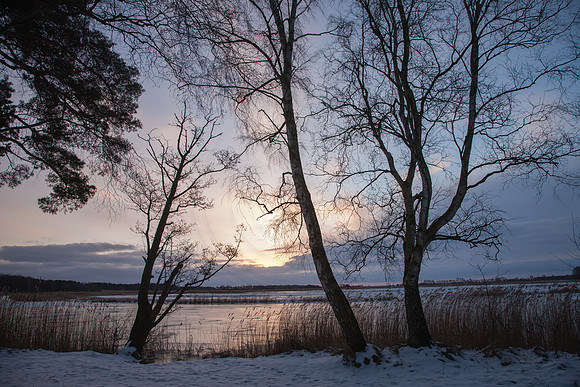Fischland Darss-Zingst