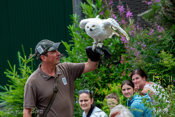Wildpark Mautern