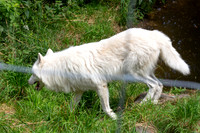 Wildpark Mautern