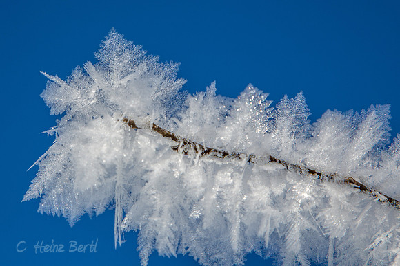 Winter-Schnee-Kristalle-20170129-0098