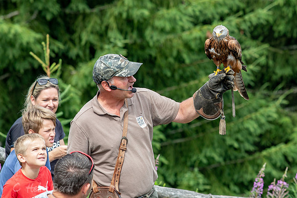 Wildpark Mautern