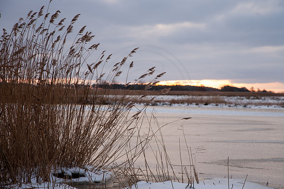 Fischland Darss-Zingst